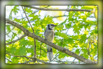 _MTK0839-Edit.jpg