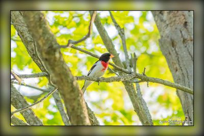 _MTK0868-Edit.jpg