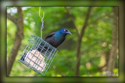 _MTK0928-Edit.jpg