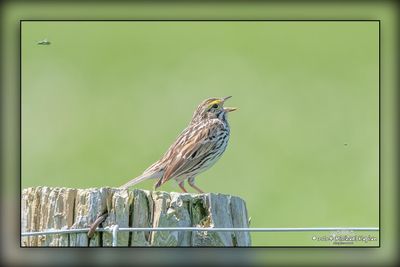 _MTK0989-Edit.jpg