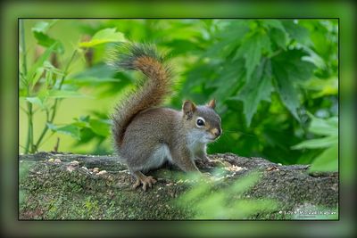 _MTK1164-Edit.jpg