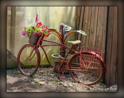 Whistling Gardens