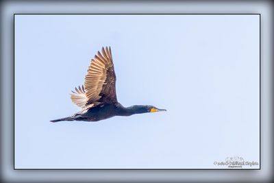 _MTK1513-Edit.jpg