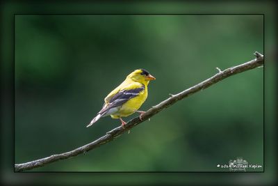 _MTK3145-Edit.jpg