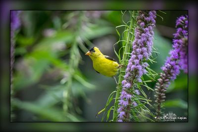 _MTK3218-Edit.jpg