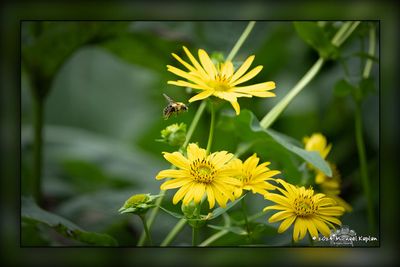 _MTK3224-Edit.jpg