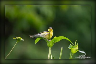 _MTK3407-Edit.jpg