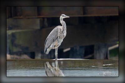 _MTK3887-Edit.jpg