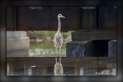 _MTK3892-Edit.jpg