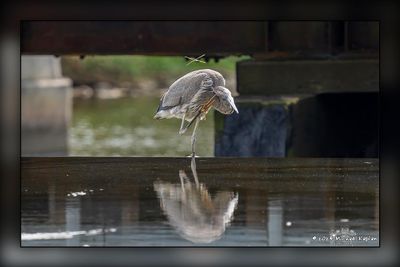 _MTK3895-Edit.jpg