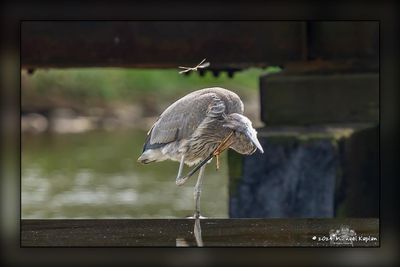 _MTK3896-Edit.jpg