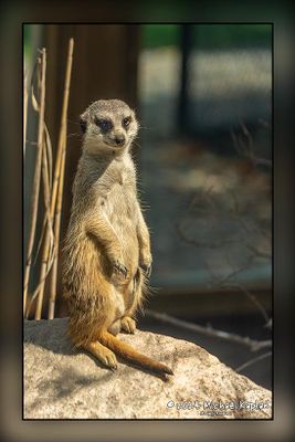 Riverview Park & Zoo