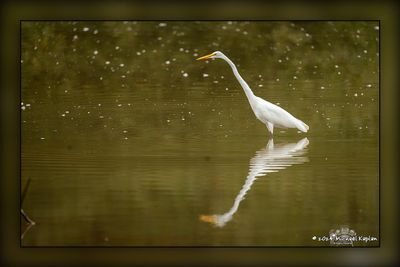 _MTK4178-Edit.jpg