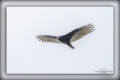 _MTK4419-Edit.jpg
