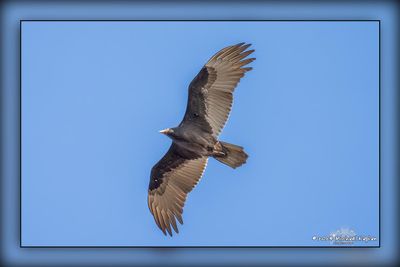 _MTK4611-Edit.jpg