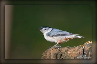 _MTK4791-Edit.jpg
