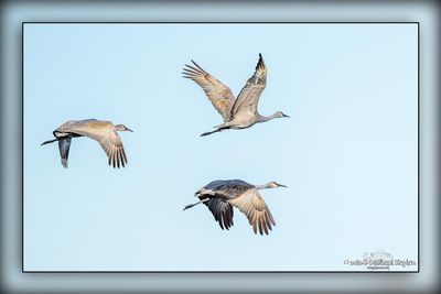 _MTK5063-Edit.jpg