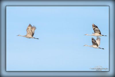 _MTK5074-Edit.jpg