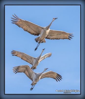 _MTK5218-Edit.jpg