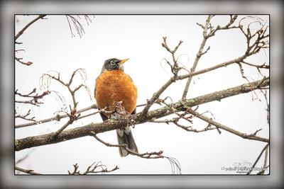 _MTK6308-Edit.jpg