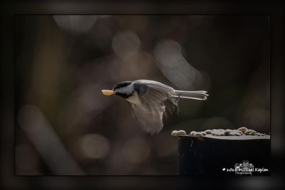 _MTK6476-Edit.jpg