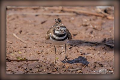 _MTK6506-Edit.jpg