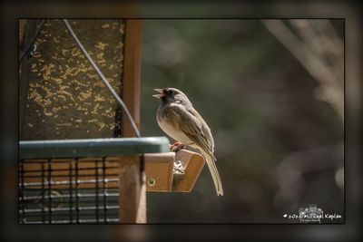 _MTK6648-Edit.jpg