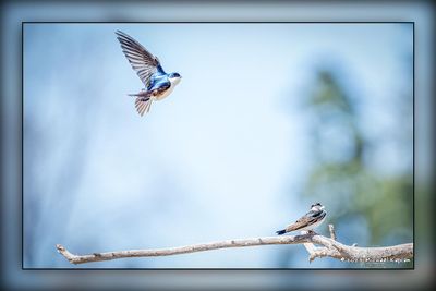 _MTK7325-Edit.jpg