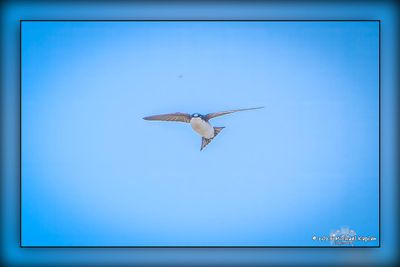 _MTK6815-Edit.jpg