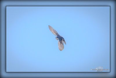 _MTK6842-Enhanced-SR.jpg