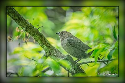 _MTK7360-Edit.jpg