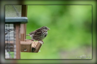 _MTK7418-Edit.jpg