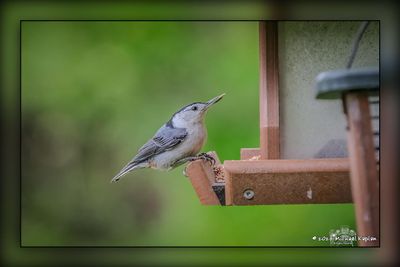 _MTK7425-Edit.jpg