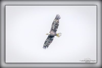 _MTK8710-Edit.jpg