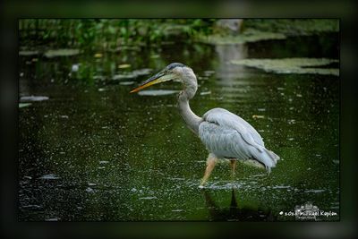 Guelph Arboretum & Riverside Park