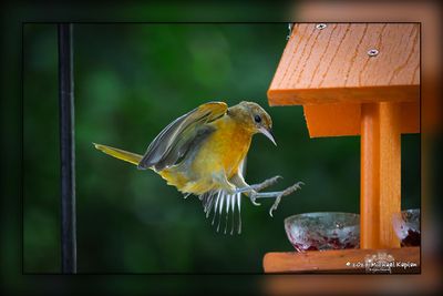 _MTK9437-Edit.jpg