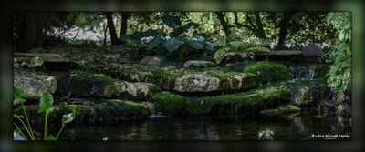 _MTK9781-Pano-Edit.jpg