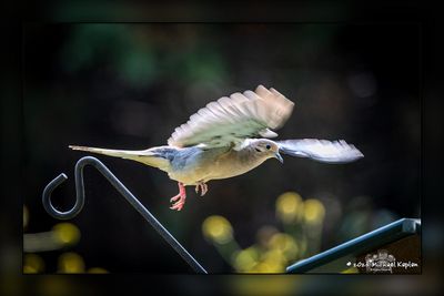 _MTK0015-Edit.jpg