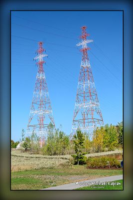_MTK0298.jpg
