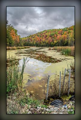 _MTK0665-Pano.jpg