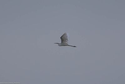 sweden_24