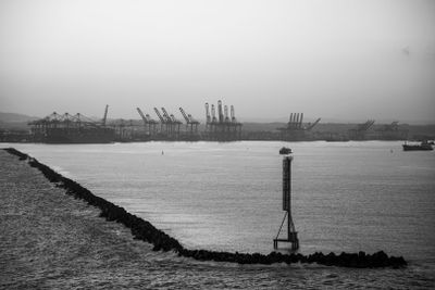 1L9A6955 copy.jpg