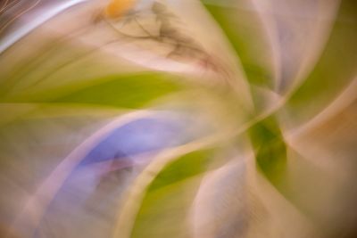 _MG_6870 copy.jpg