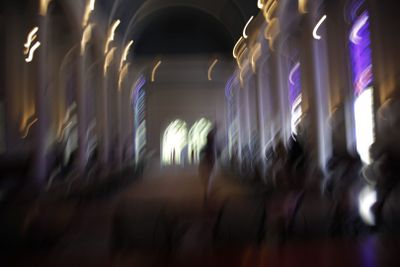 _MG_7238.jpg