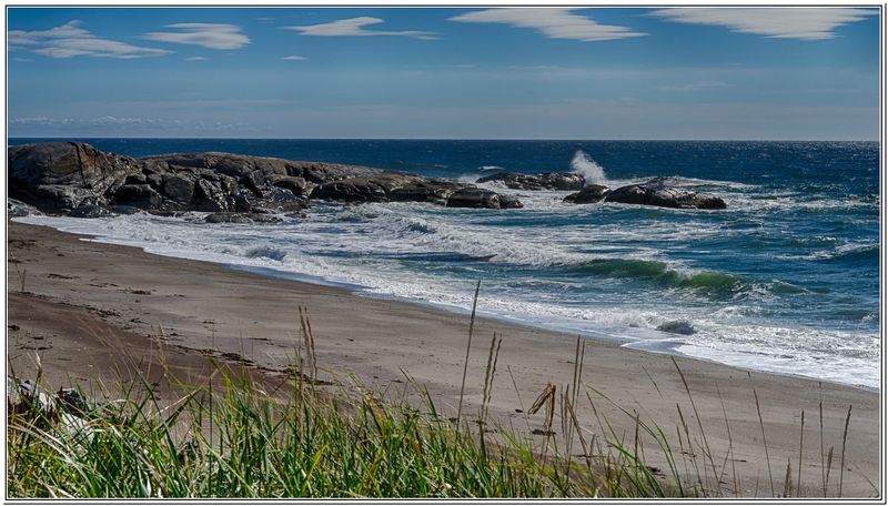 Bord du golfe  Sheldrak 01