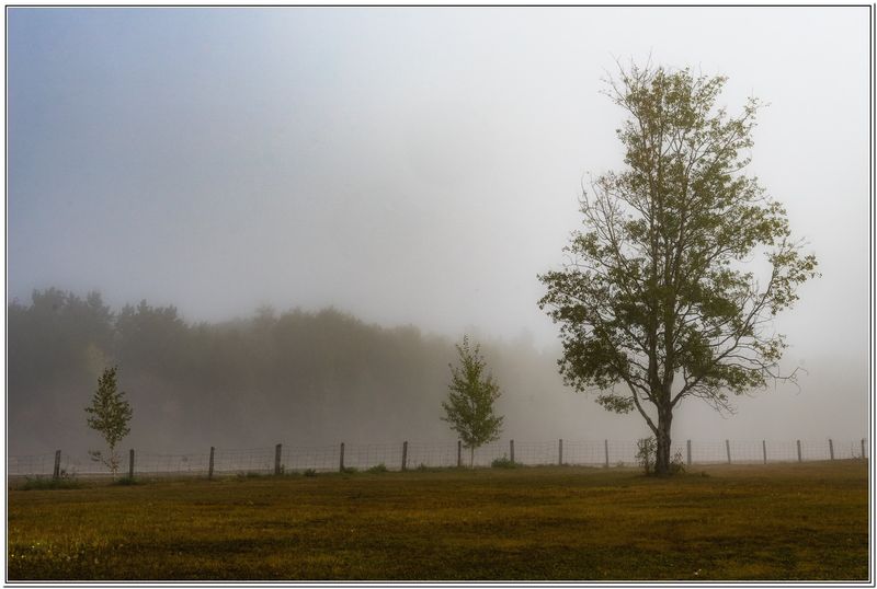 Grand Bergeronnes 01