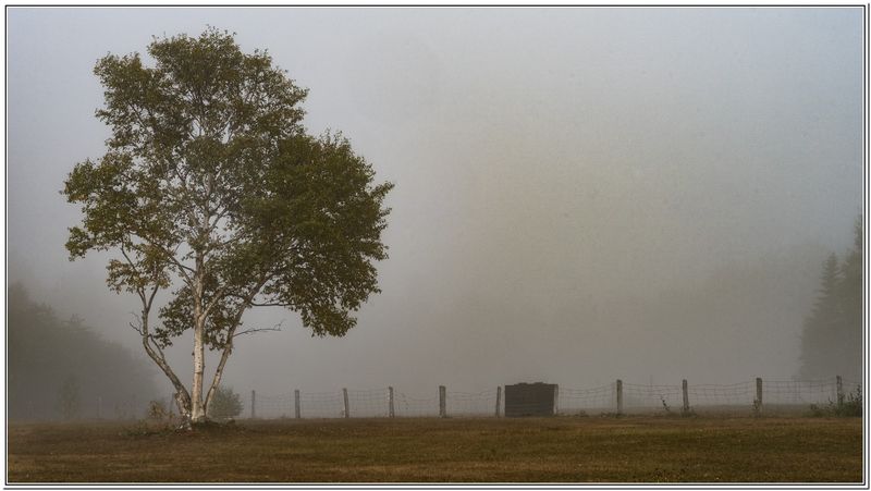 Grand Bergeronnes 02