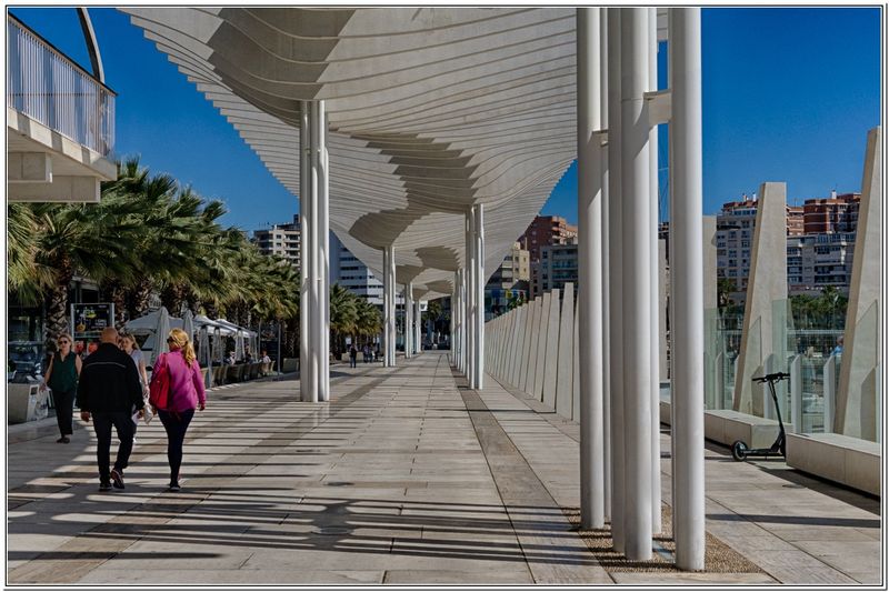 02Pergola palmeral, Port de Malaga.jpg