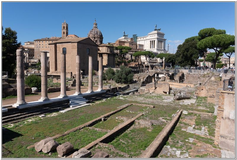 Forum de Rome_Roman Forum 03
