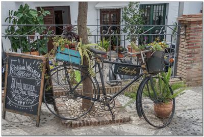 El pueblo Frigiliana 07